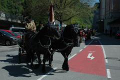 DSC_0251_QvawuE_ergebnis_ergebnis_ergebnis